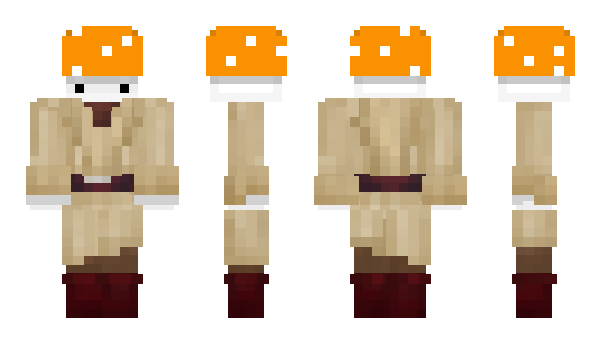 Minecraft skin Aewo