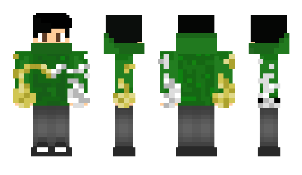 Minecraft skin Okanero