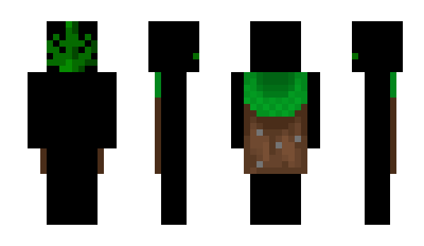 Minecraft skin DrugFein
