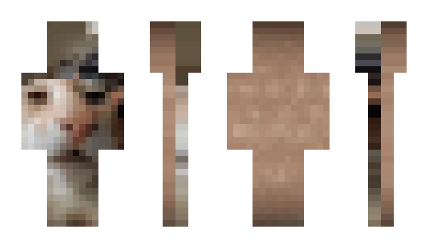 Minecraft skin pioch123