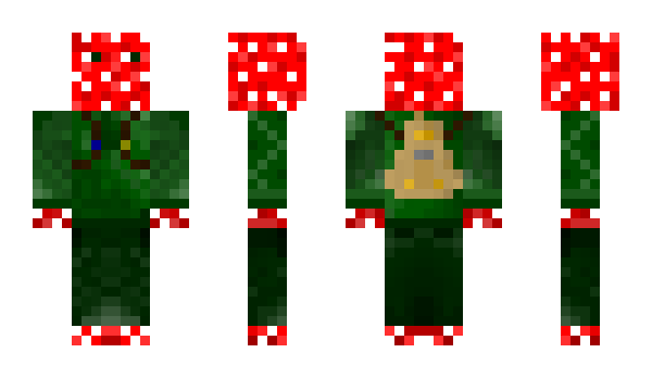 Minecraft skin Pankariot