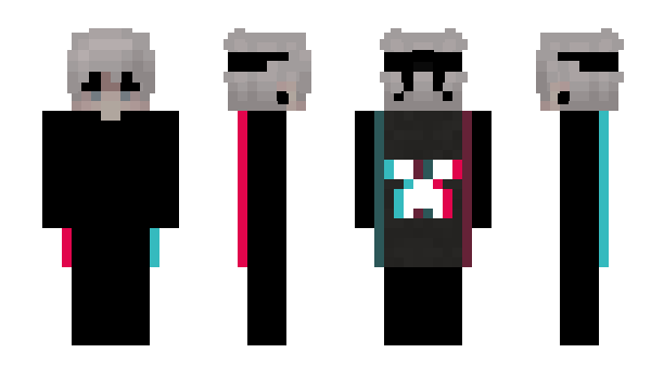 Minecraft skin PROWINNAAR