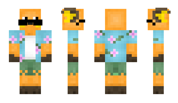 Minecraft skin xehaM