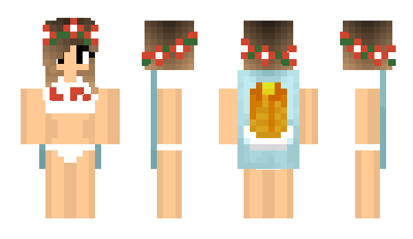 Minecraft skin pmds