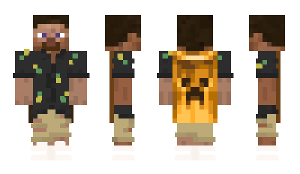 Minecraft скин по нику naplesflorida