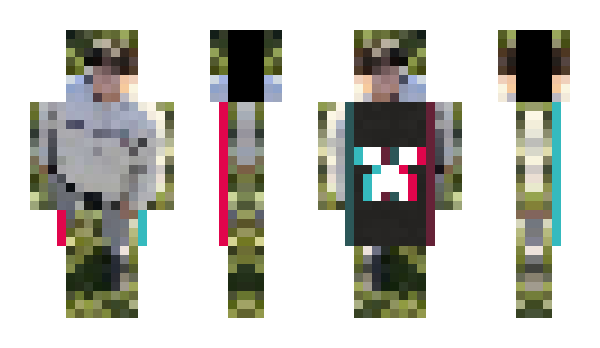 Minecraft skin SurfBrah