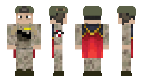 Minecraft skin 6691
