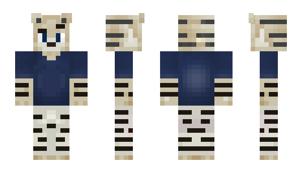 Minecraft skin Jakester10234