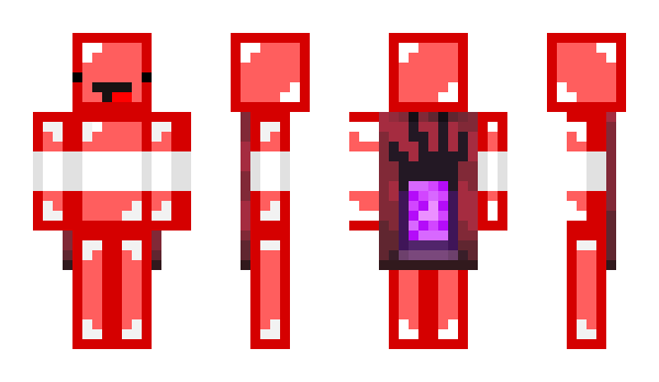 Minecraft скін по ніку Austrian_Skeppy