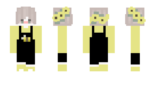 Minecraft skin DrScrapp