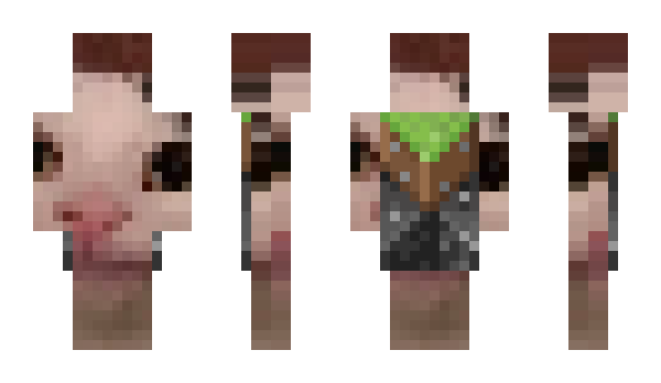 Minecraft skin BegulaGG