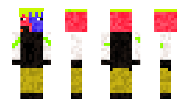 Minecraft skin Halucynek