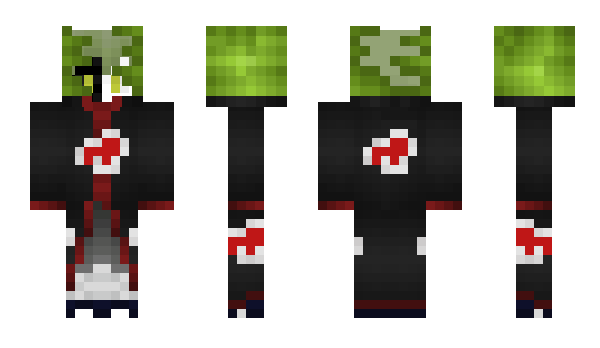 Minecraft skin Avl0ss