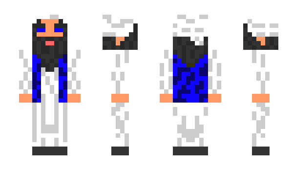 Minecraft skin p6f