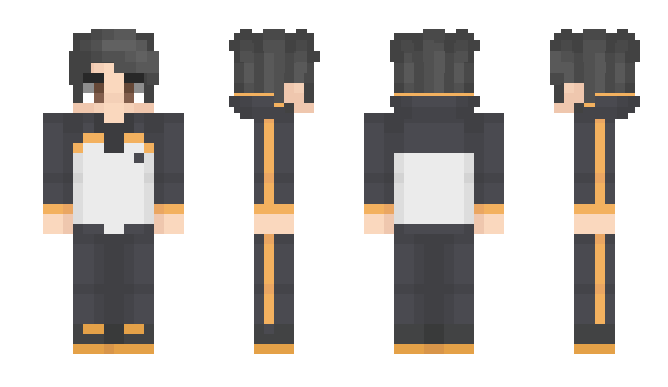 Minecraft skin _Pdr