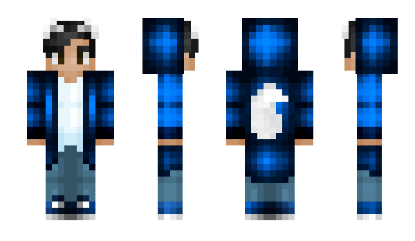 Minecraft skin DGER