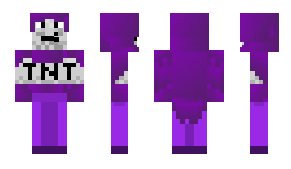 Minecraft skin PurpleTNT