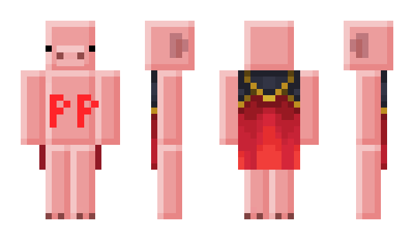 Minecraft skin W1zar