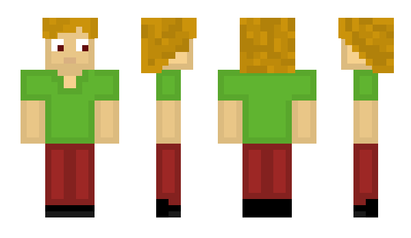 Minecraft skin TSims