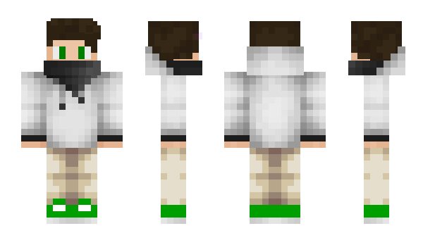 Minecraft skin dolars