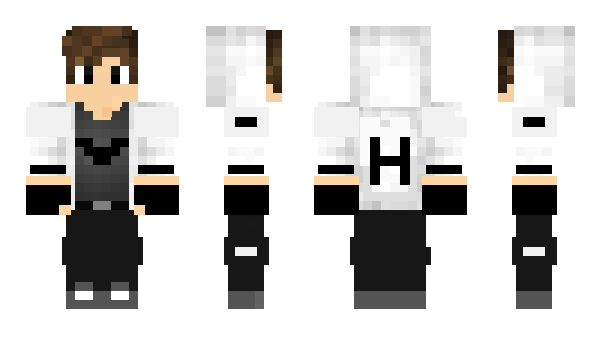 Minecraft skin rajar