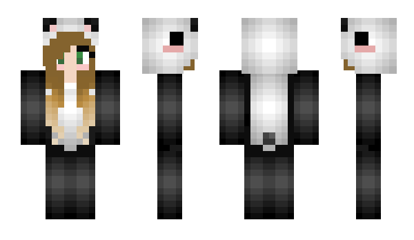 Minecraft skin PandasPVP