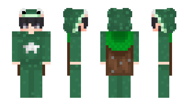 Minecraft скин по нику vN4cho