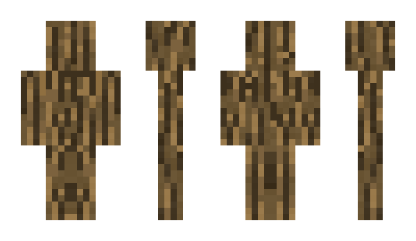 Minecraft skin RaRaRaRaRa