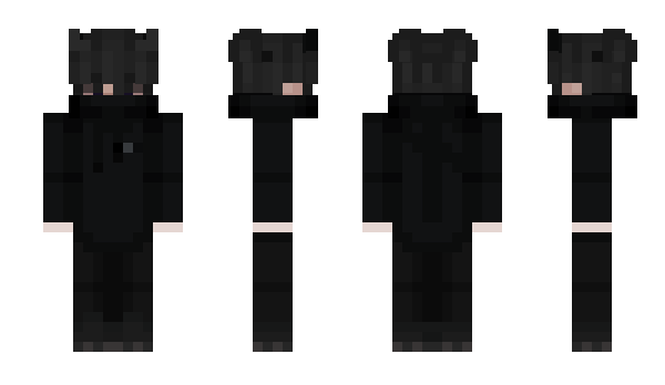 Minecraft skin Akkumaqqe