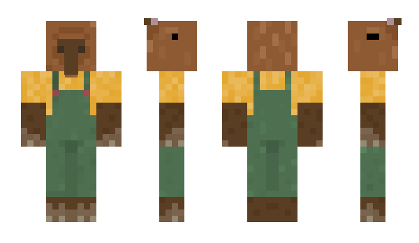 Minecraft skin toastheaven