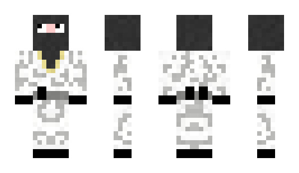 Minecraft skin MiniH