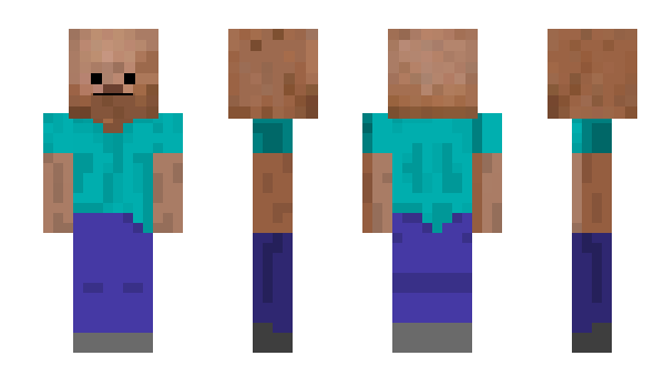 Minecraft skin Sonsa