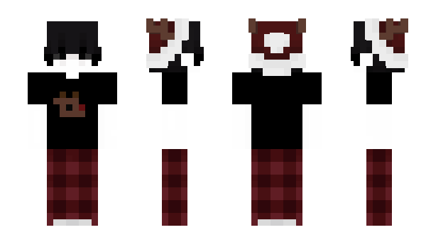 Minecraft skin Heronire