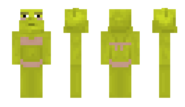 Minecraft skin SHREKWAIFU