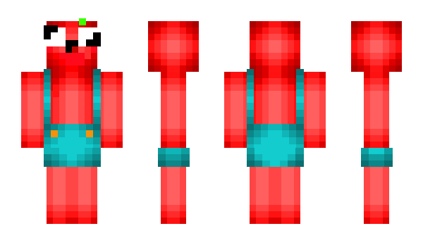 Minecraft skin Dzok