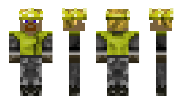 Minecraft skin EliteBlackKing