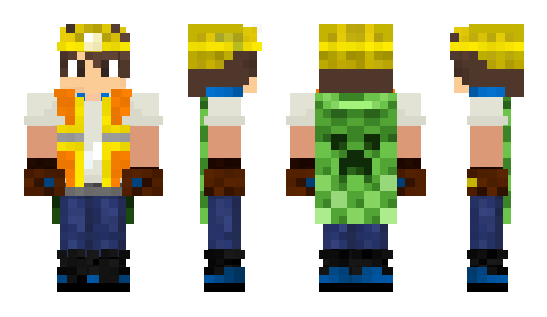 Minecraft skin Paladin_FL