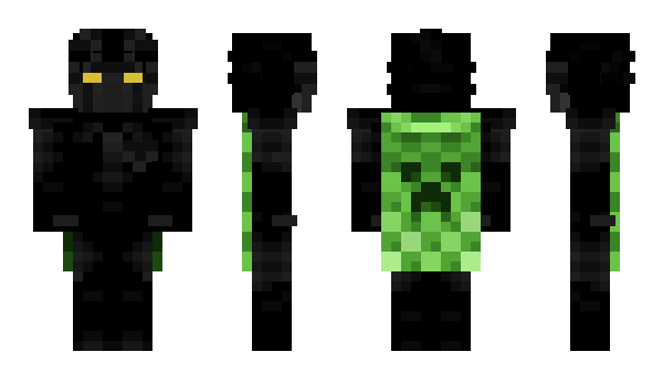 Minecraft skin swne