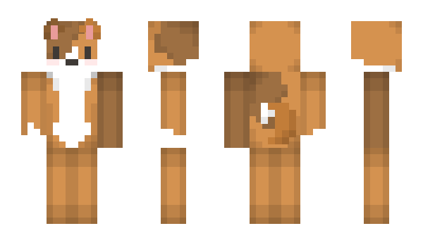 Minecraft skin statles