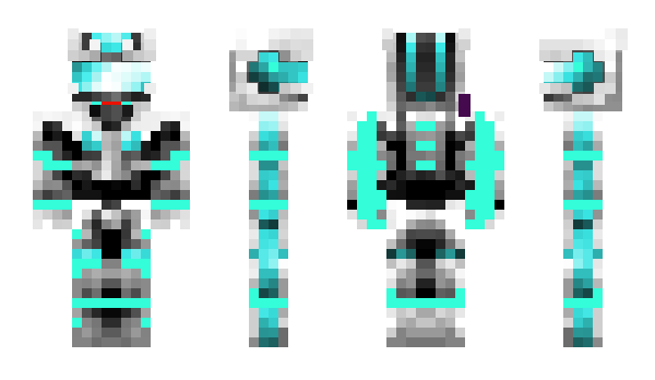 Minecraft skin _Canon_