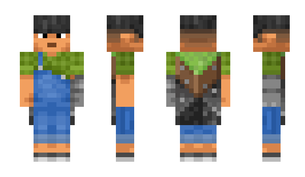 Minecraft skin ______P