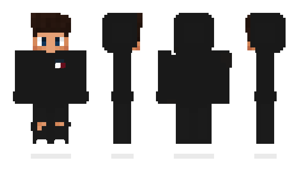 Minecraft skin W87