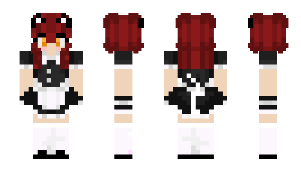 Minecraft skin Socku