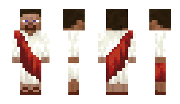 Minecraft skin Arctiid