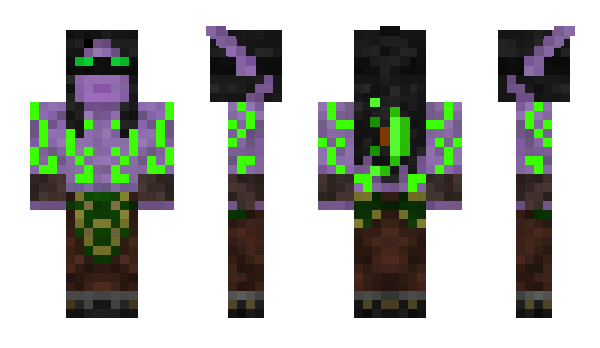 Minecraft skin Snaro