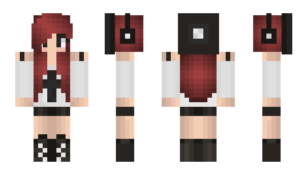 Minecraft skin windor