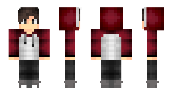 Minecraft skin biocker