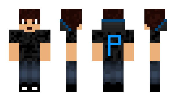 Minecraft skin Parcanss