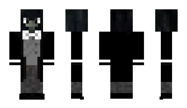 Minecraft skin Invigar