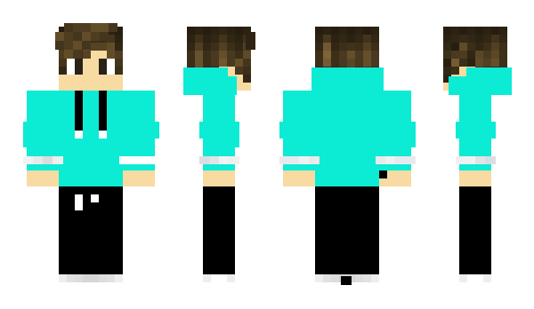 Minecraft skin GuxD